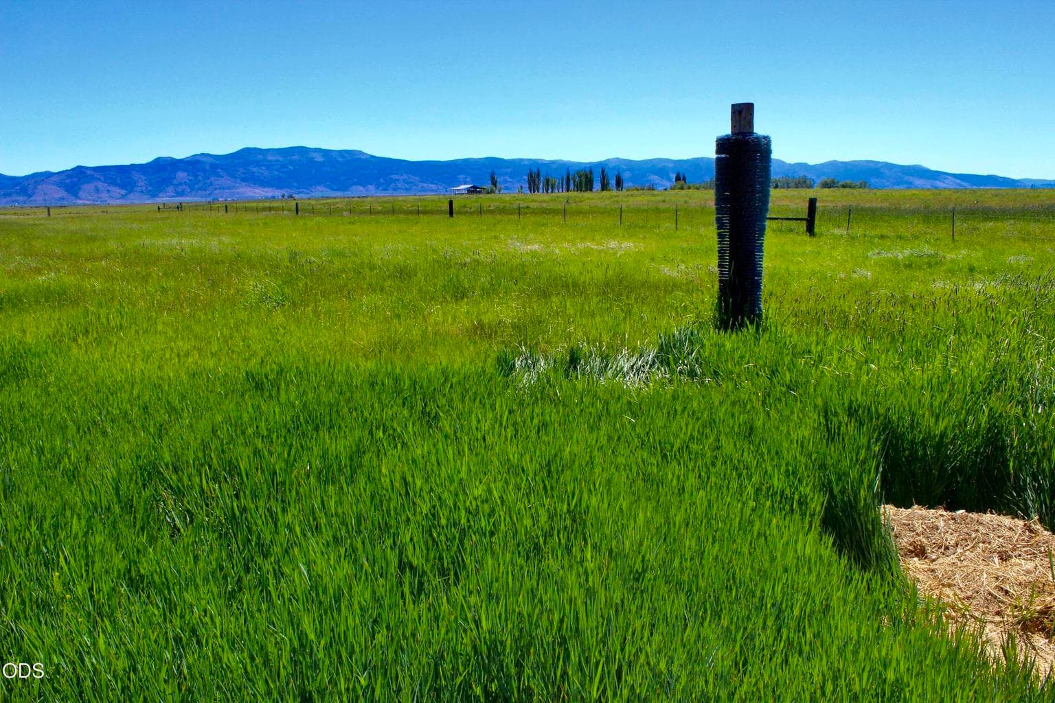Organic, pesticide-free corral, ready for your livestock!