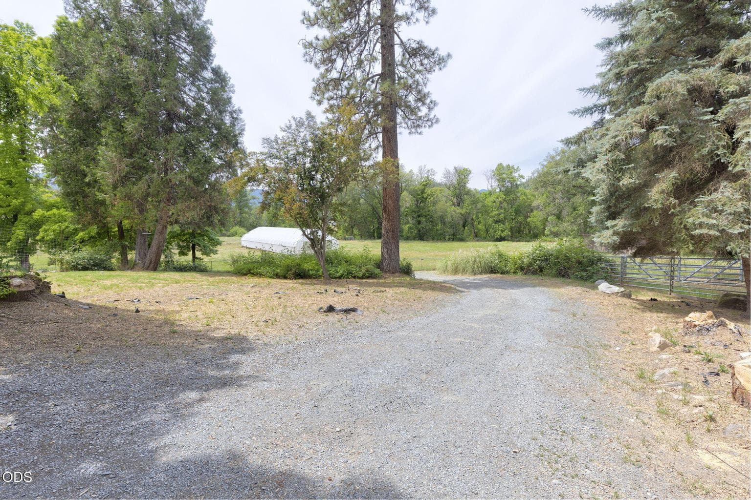 Driveway near home