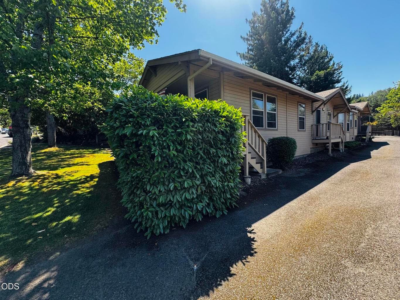 Triplex and Driveway