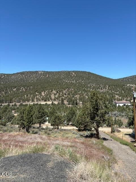 Photo of 16620 SE Antelope Creek 16 of 20