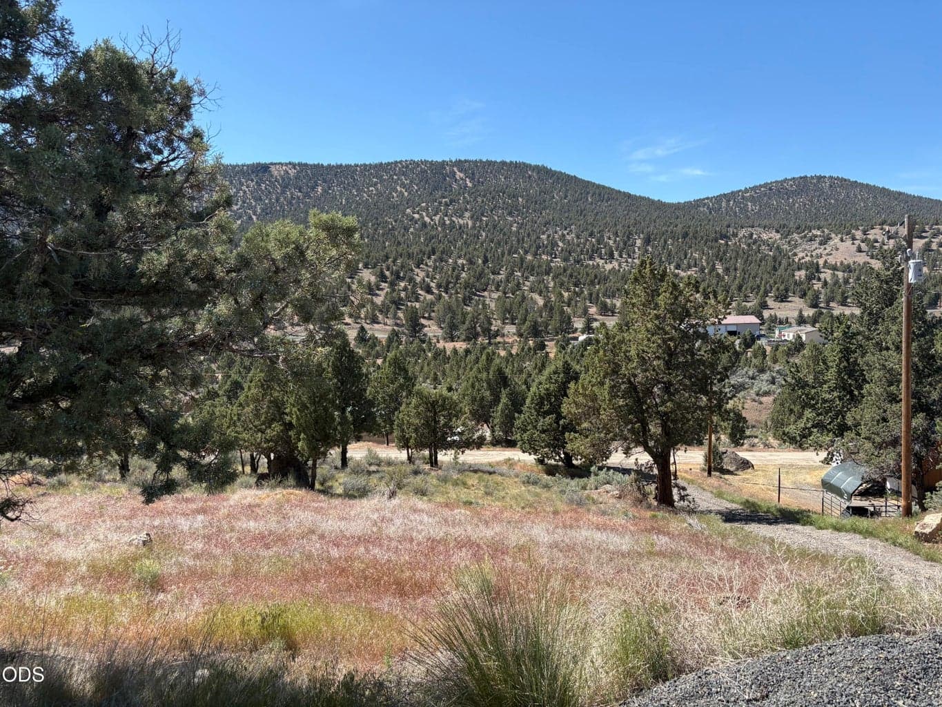 Photo of 16620 SE Antelope Creek 17 of 20