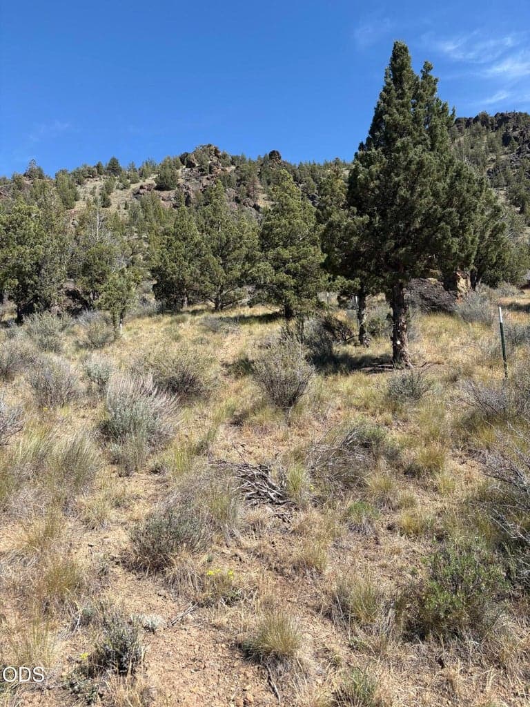 Photo of 16620 SE Antelope Creek 19 of 20