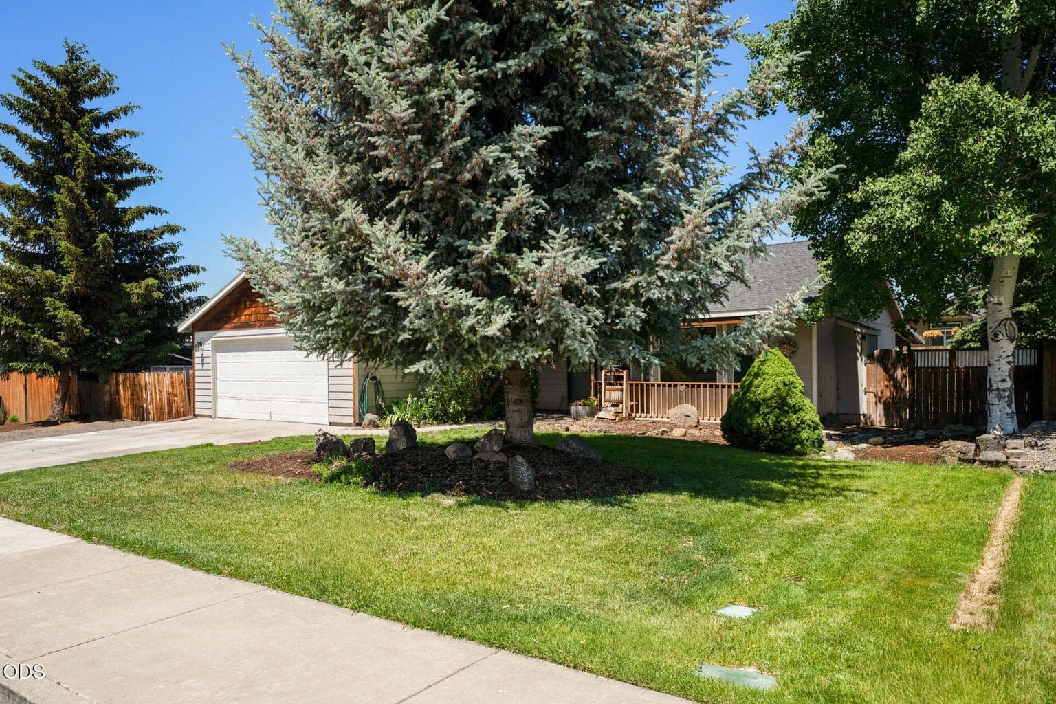 Photo of 841 Negus 5 of 31