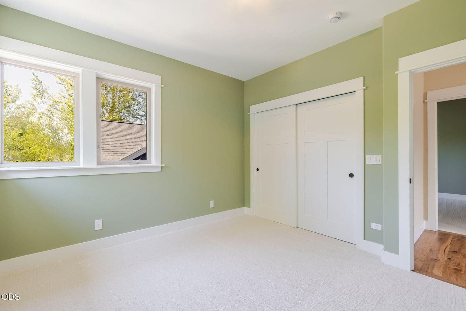 Closet Organizer & Double Windows