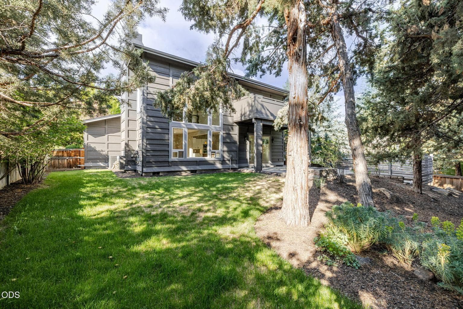 Lots of Trees in Backyard Providing Privacy