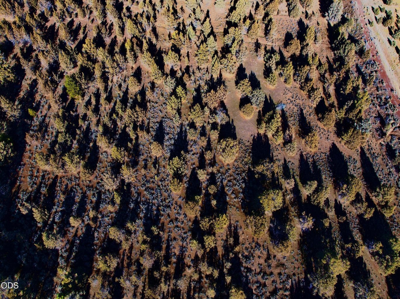 Photo of 0 Bear Valley 5 of 8