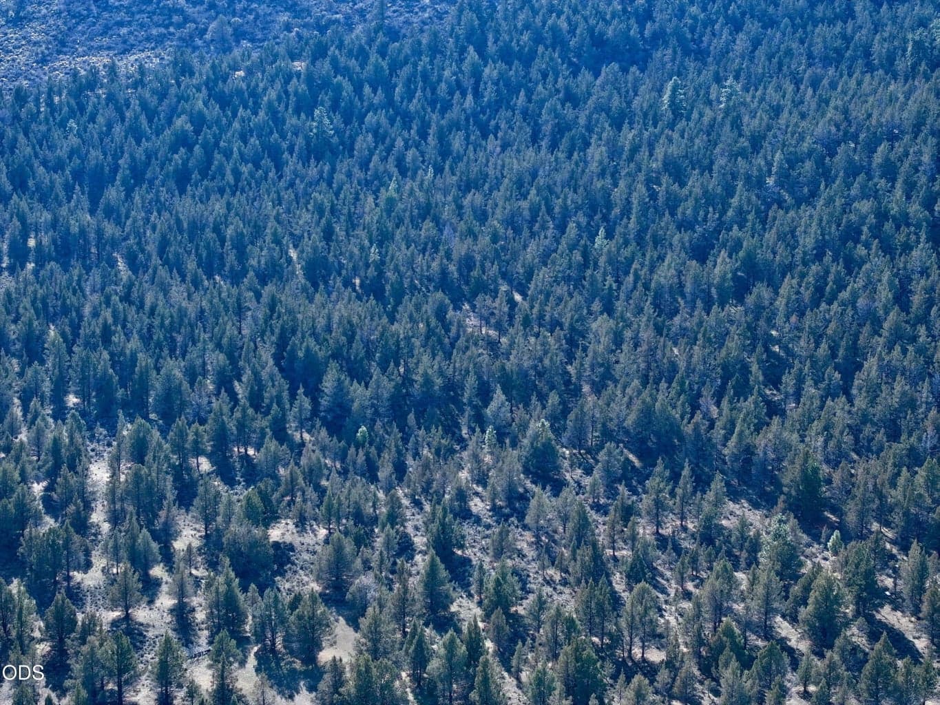 Photo of 0 Bear Valley 3 of 8