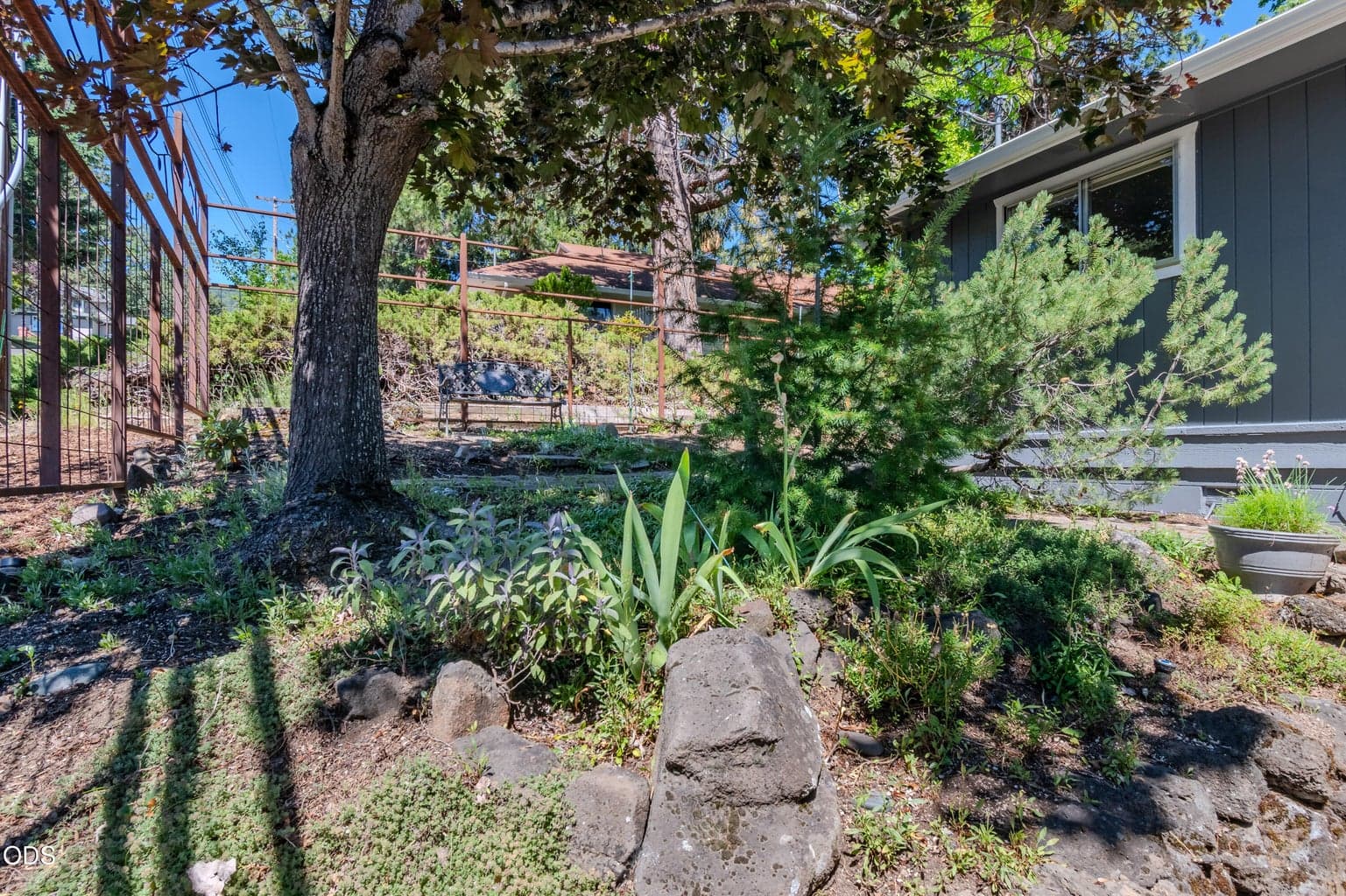 Front yard area