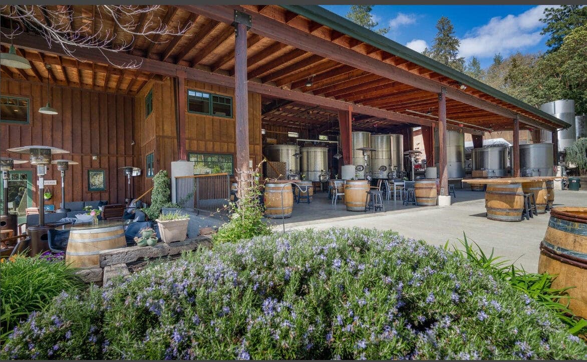 Vineyard