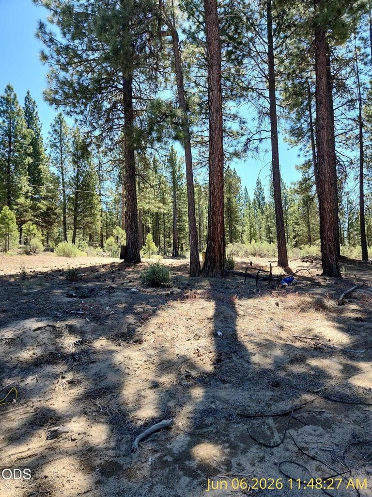 Photo of 0 Green Forest 2 of 15