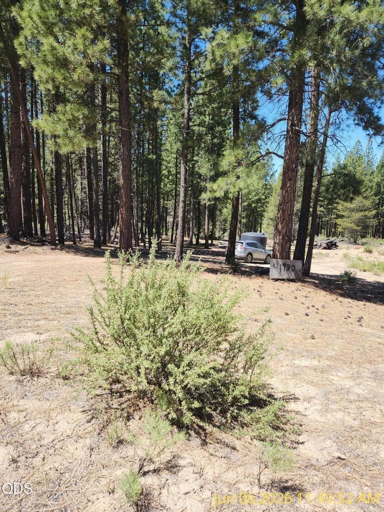 Photo of 0 Green Forest 1 of 15