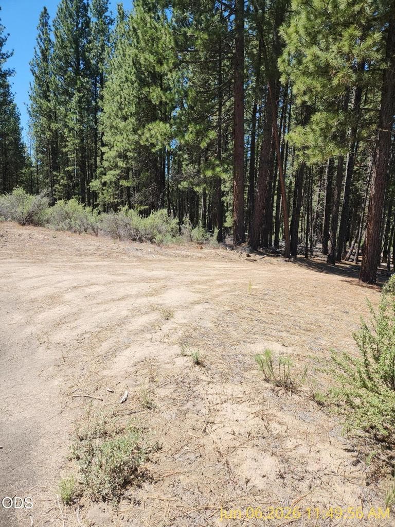Photo of 0 Green Forest 4 of 15