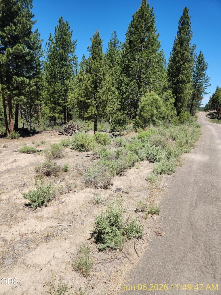 Photo of 0 Green Forest 3 of 15