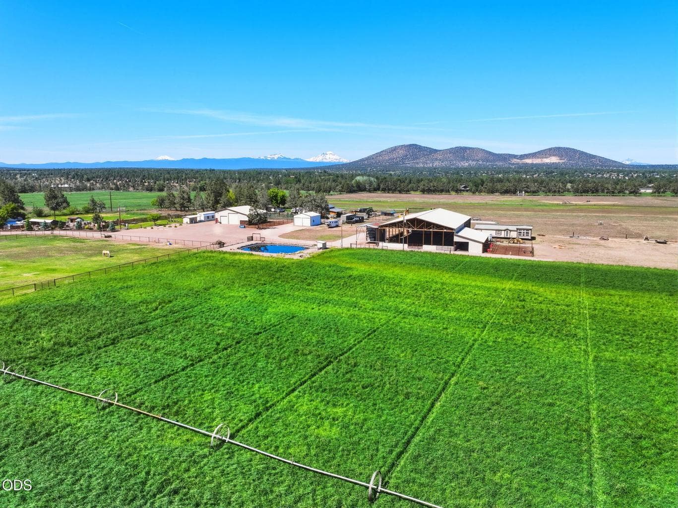 Irrigated Hay Field