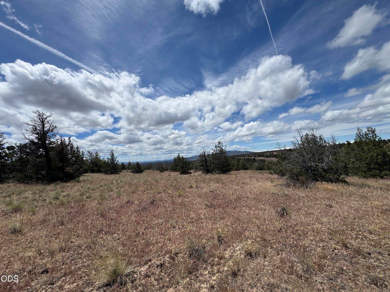 Photo of SE Texas Circle 13 of 14