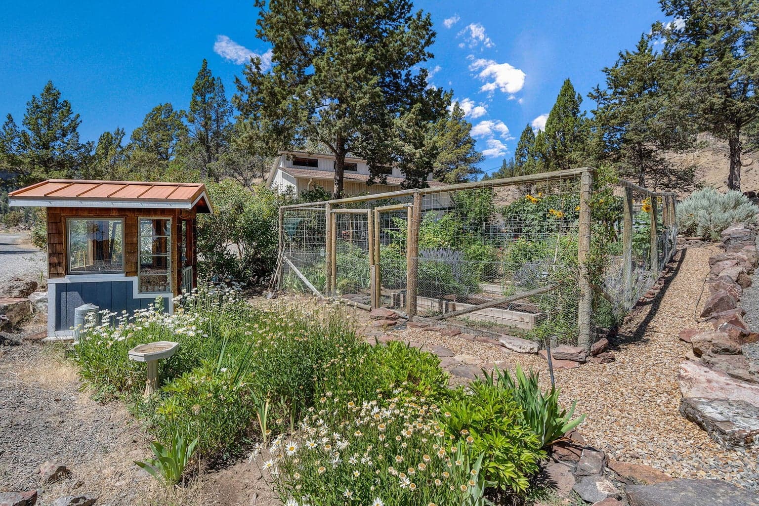 fenced garden area