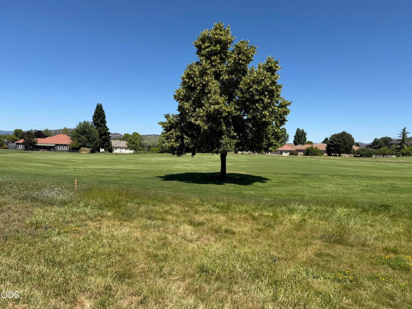 Photo of Robert Trent Jones 2 of 6