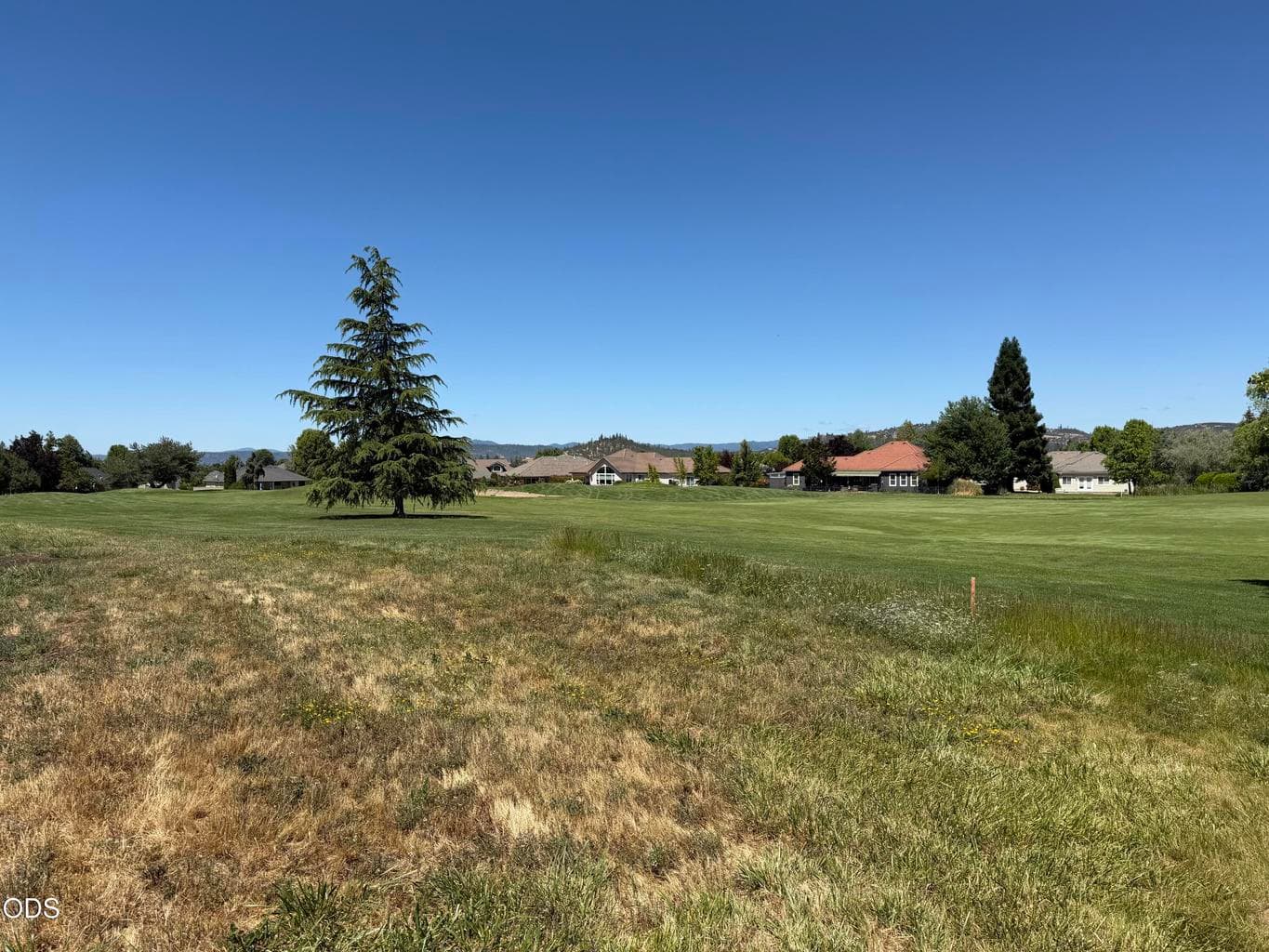 Photo of Robert Trent Jones 3 of 6