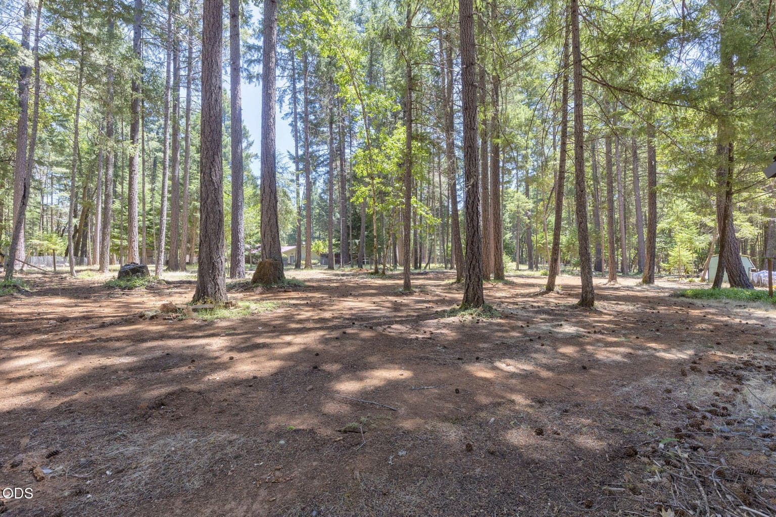 Photo of 1616 Marcy Loop 4 of 24