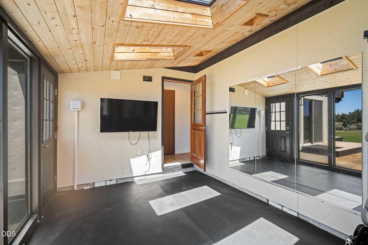 Sun Room / Gym 2