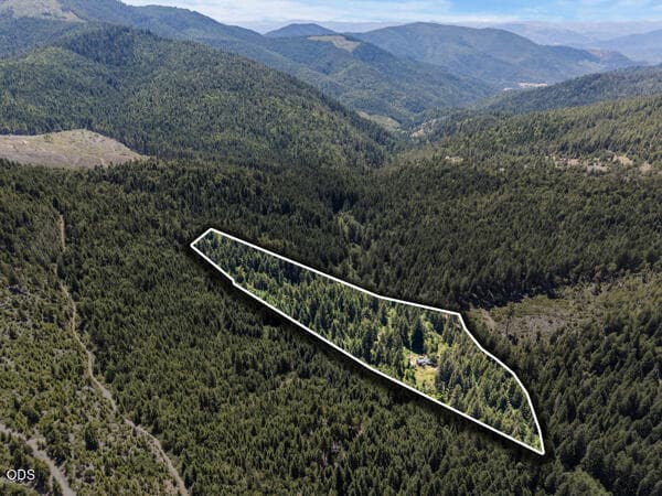 Forested acreage offers a secluded setting rarely found this close to town.