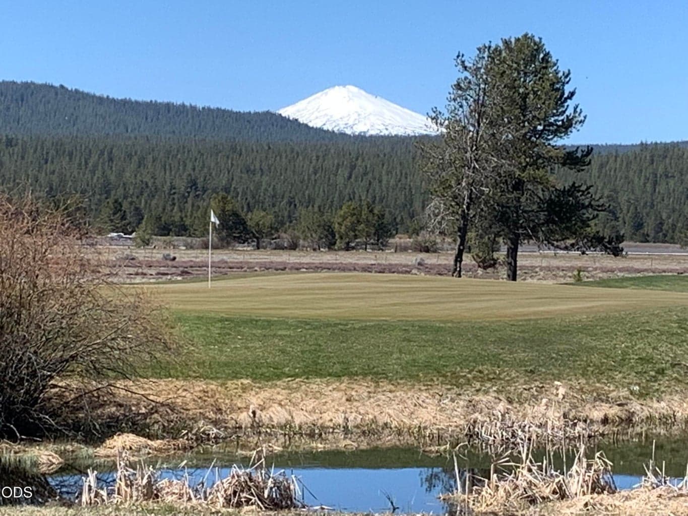 View of Mt Bachelor from Meadows 10th tee