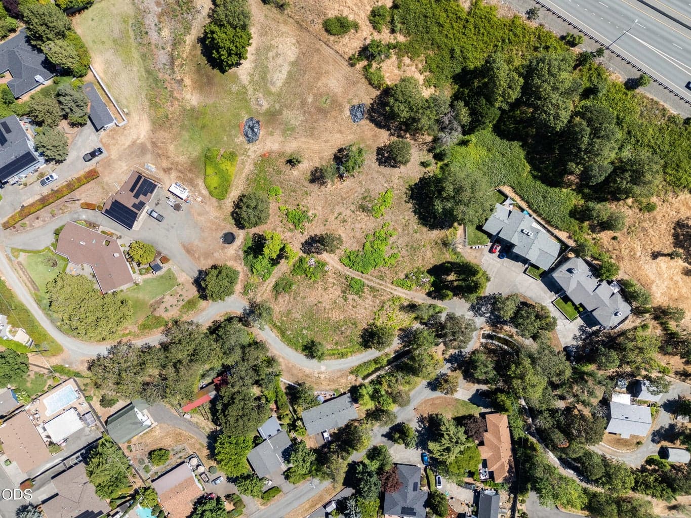 Photo of 701 Tokay 5 of 21