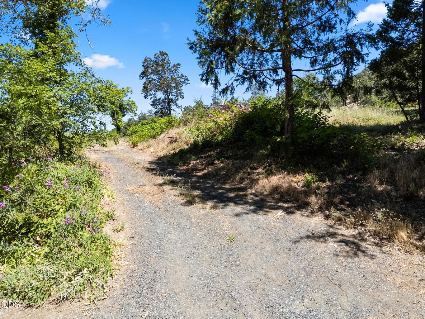 Photo of 701 Tokay 3 of 21