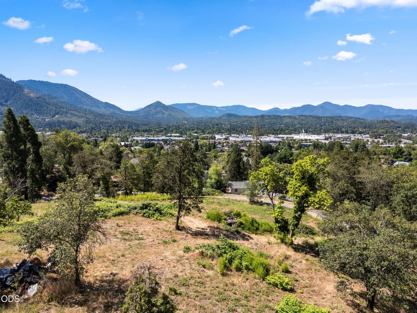 Photo of 701 Tokay 1 of 21