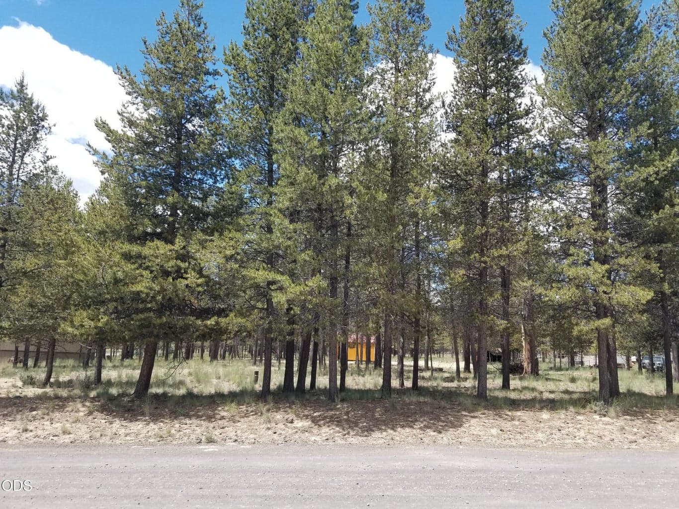 Photo of Birchwood 2 of 16