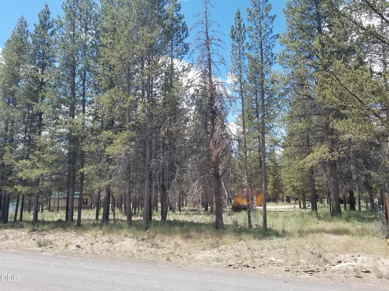 Photo of Birchwood Road 10 of 16
