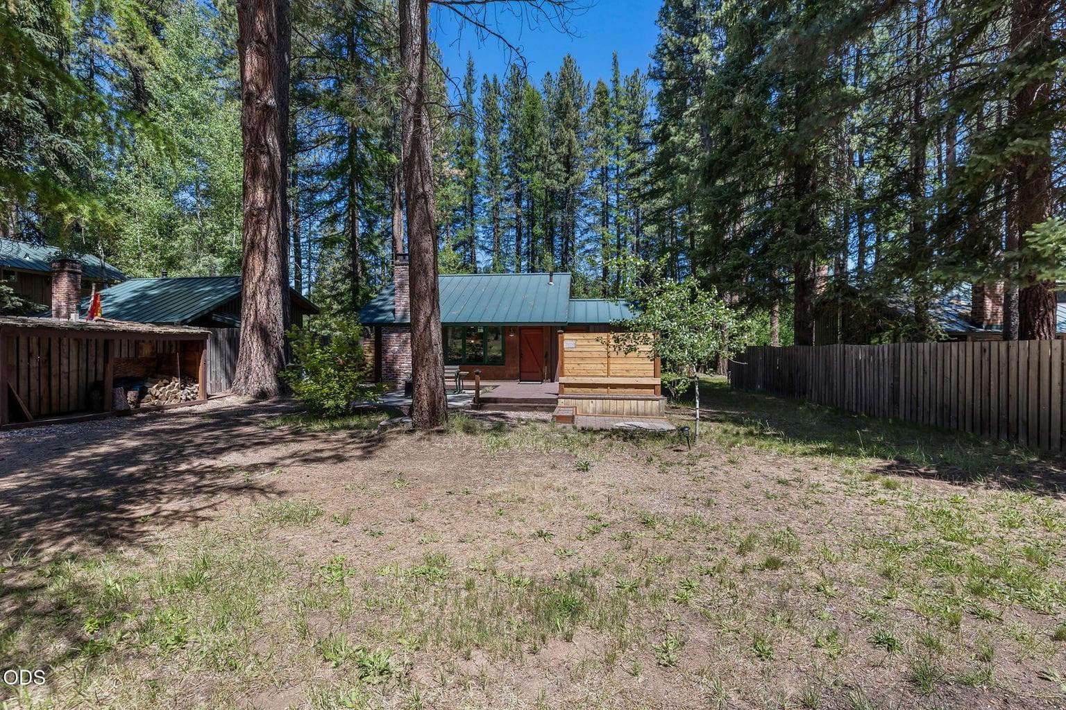 Pine, Tamarack, Aspen, Fir and Vine Maple