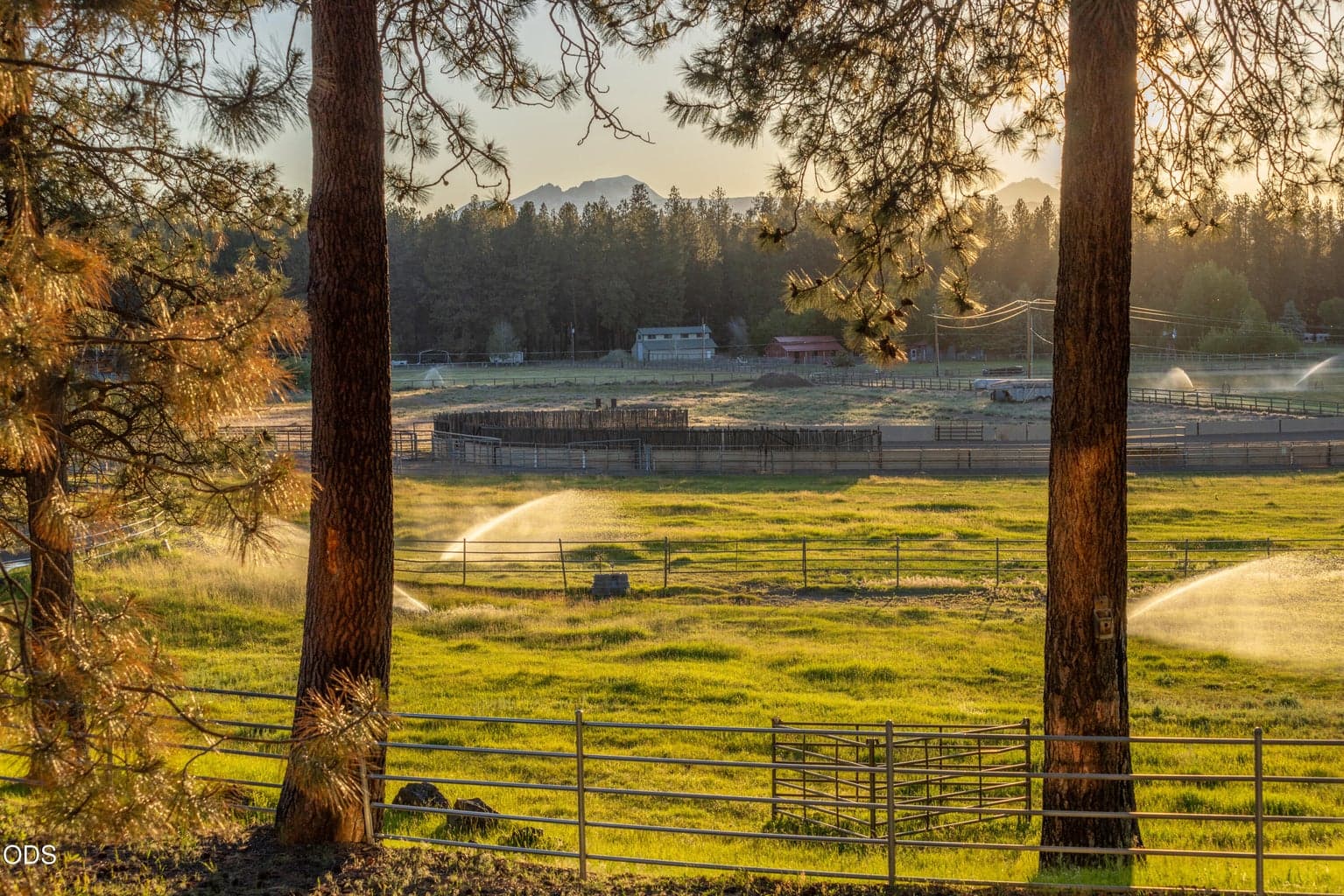 Photo of 60266 Tekampe Road 55 of 56