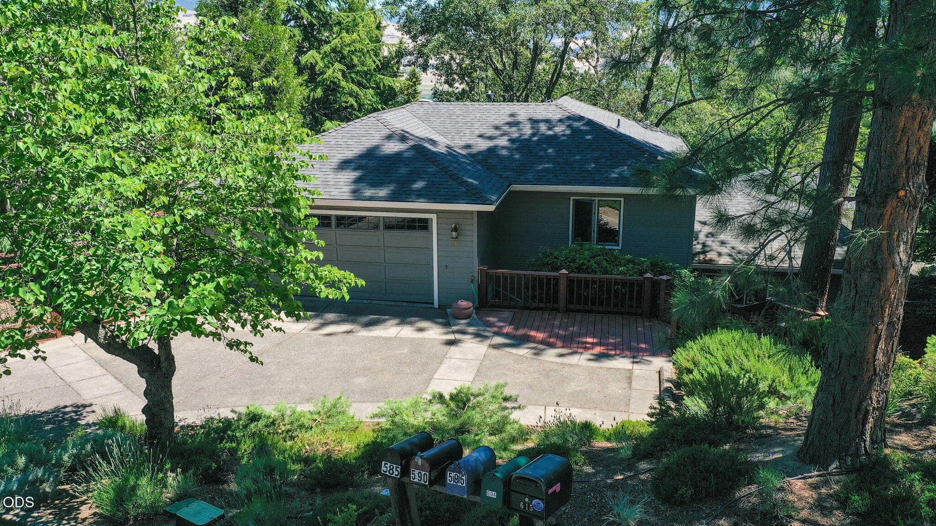 Photo of 590 Taylor 2 of 41