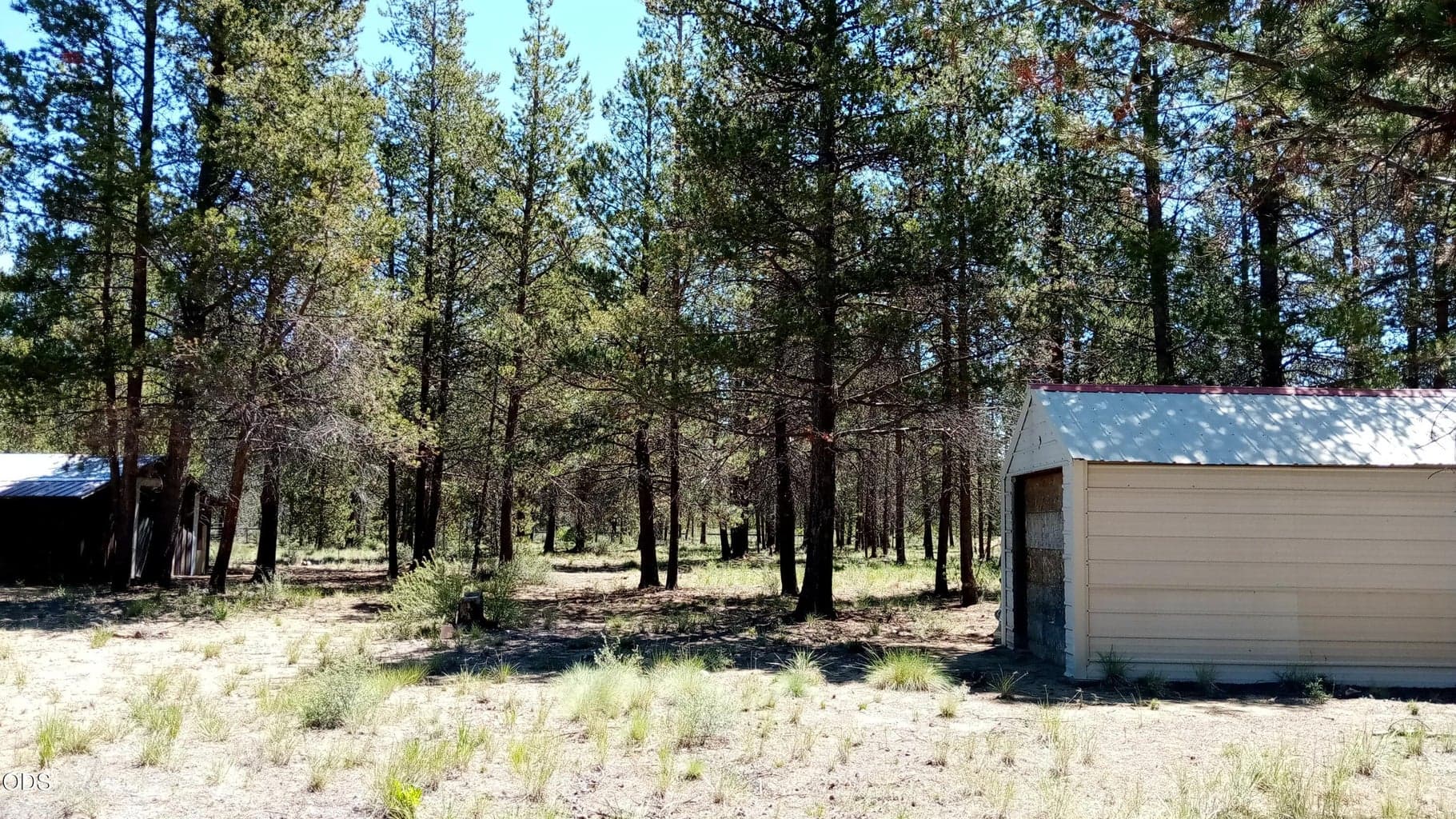 Photo of 52798 Murry 4 of 13