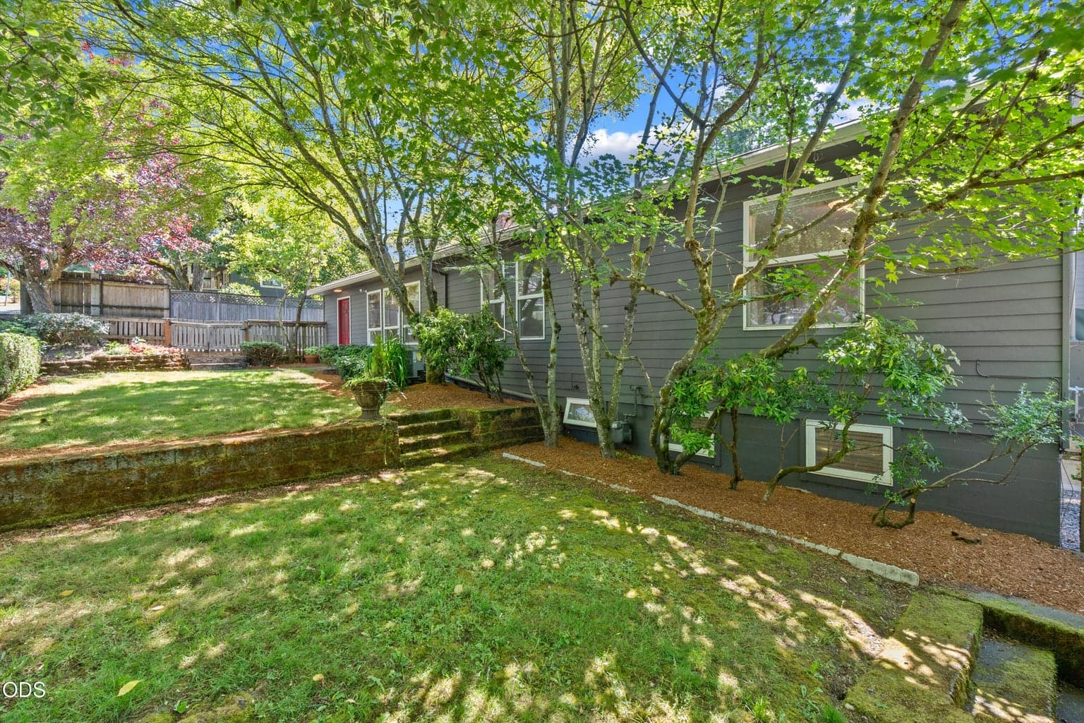 Photo of 620 Orchid 2 of 43