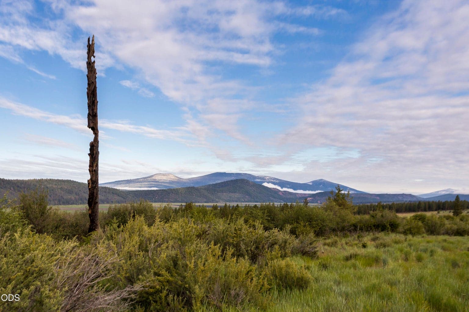 Photo of 827 Beattys Butte 3 of 17