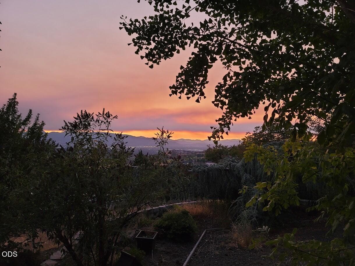 1403 Highcrest