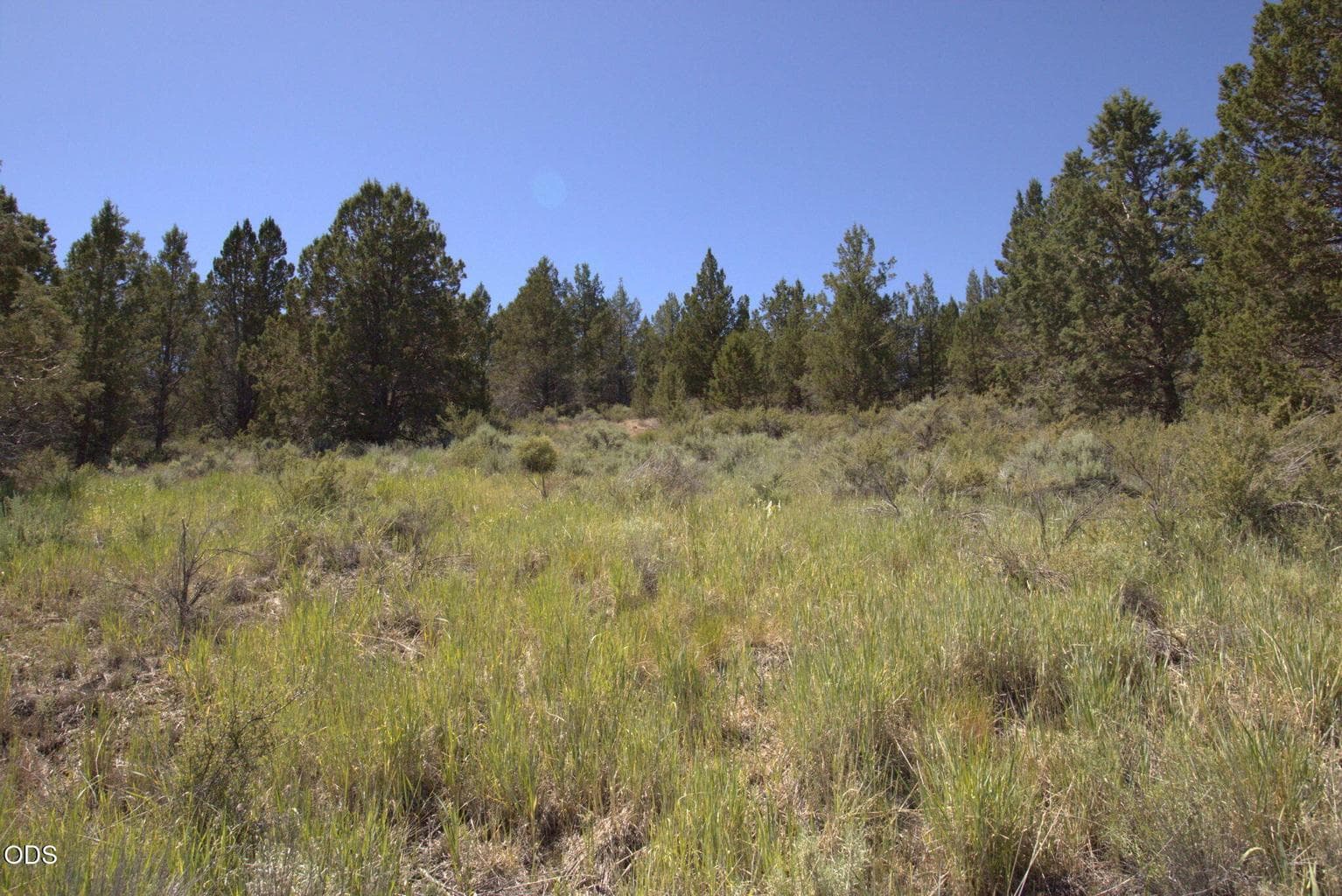 Photo of Wasco 1 of 5