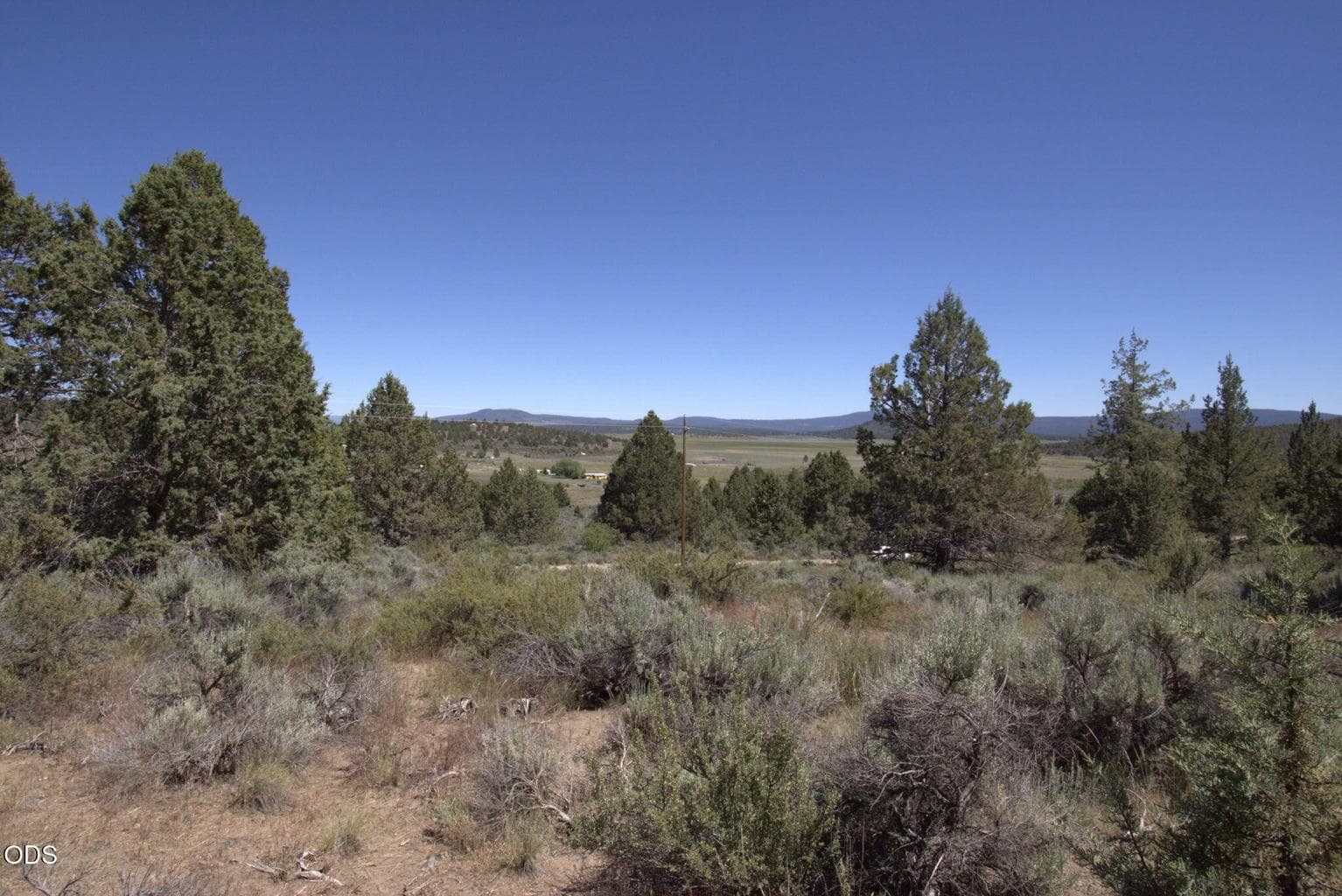Photo of Wasco 2 of 5