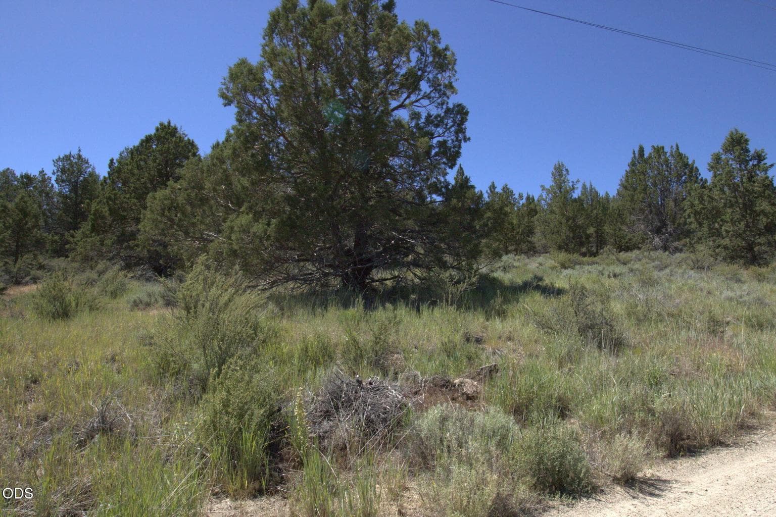 Photo of Wasco 3 of 5