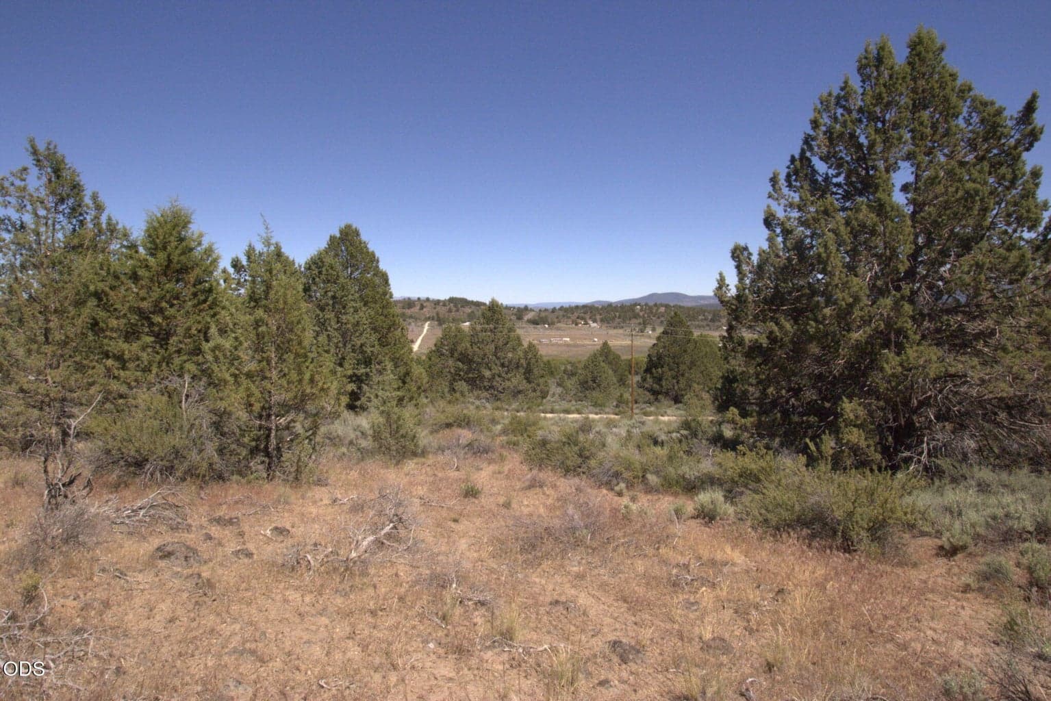 Photo of Wasco 4 of 5