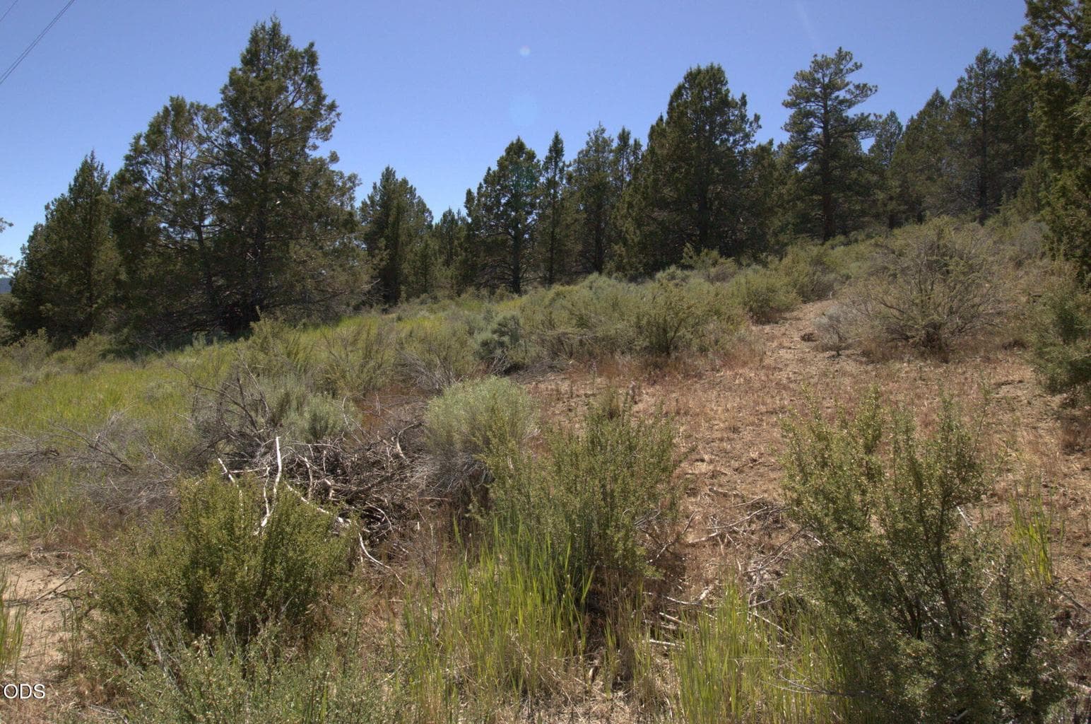 Photo of Wasco 5 of 5