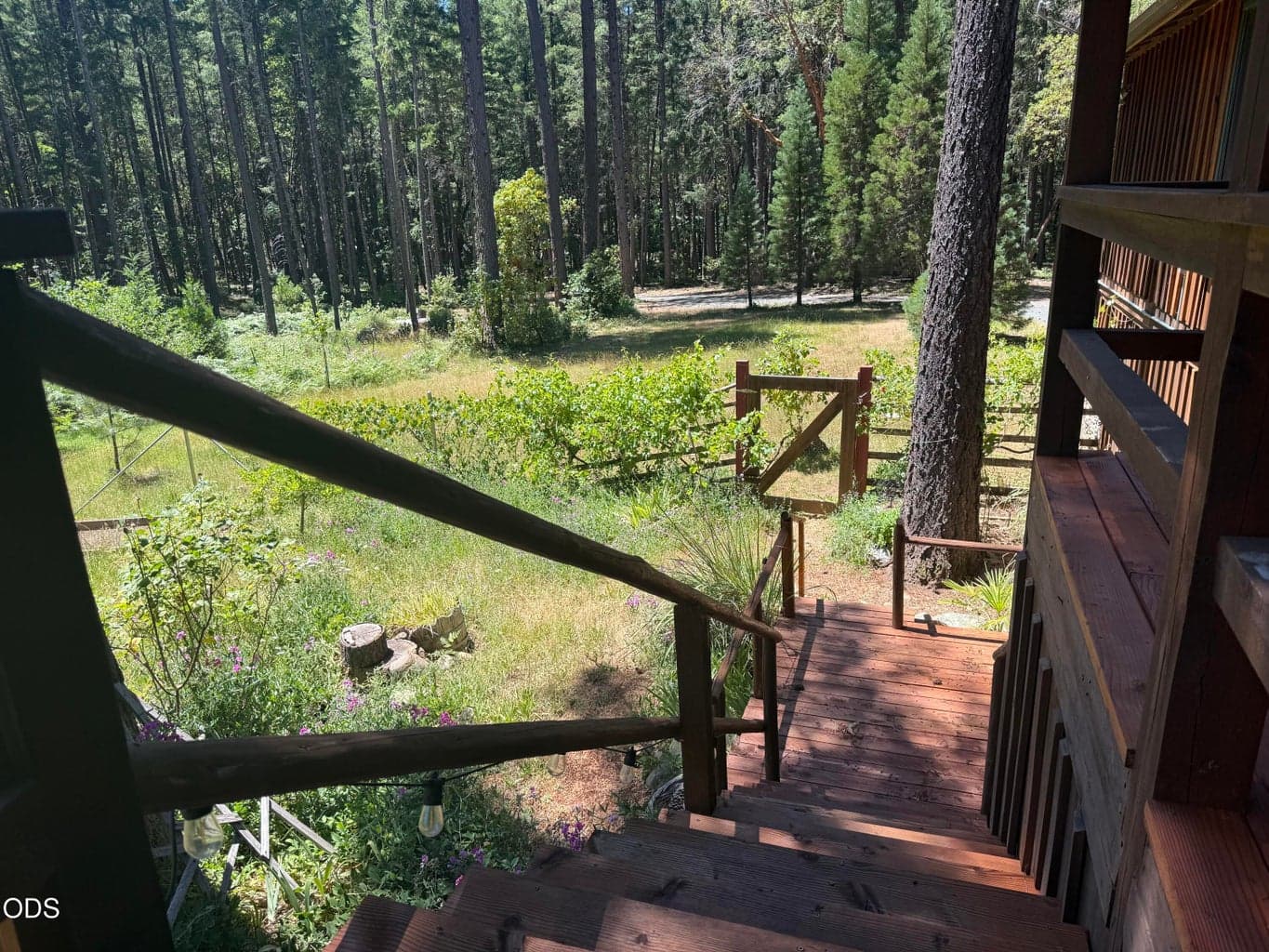 Photo of 707 McMullen Creek 4 of 57