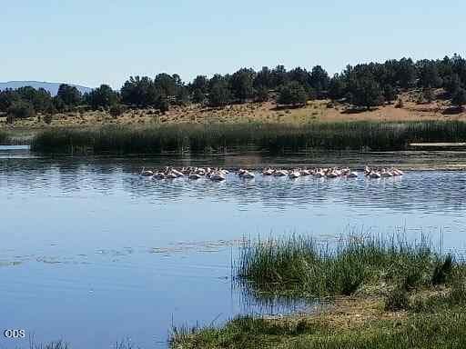 0 Sprague River