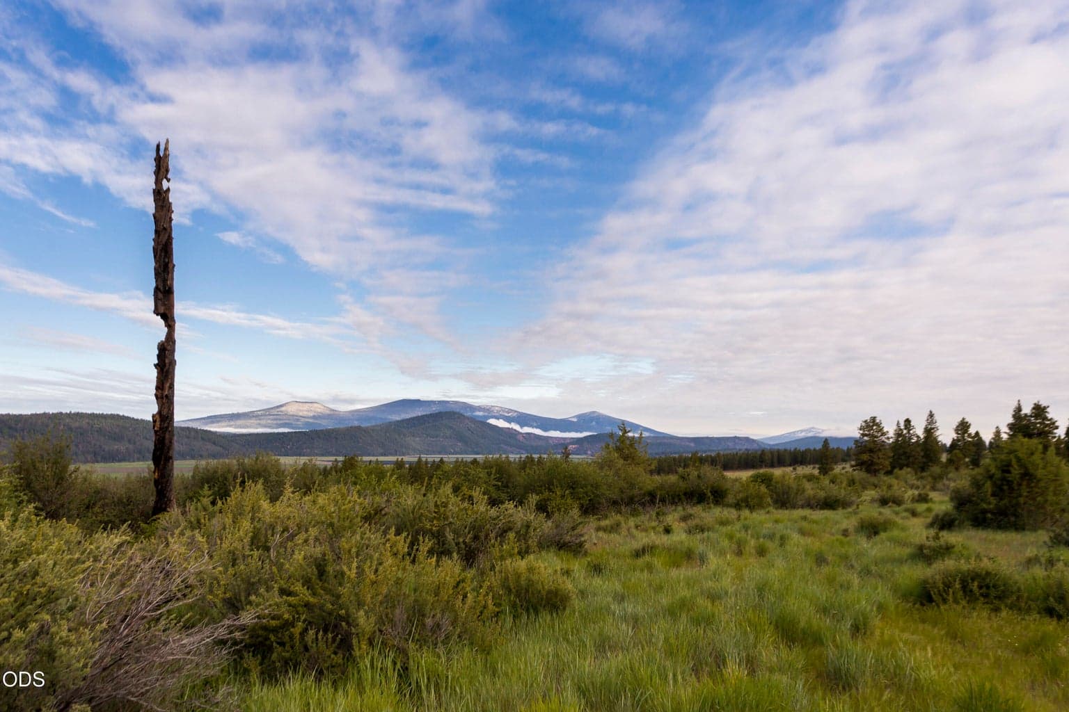 Photo of 846 Abbott Mountain 1 of 17