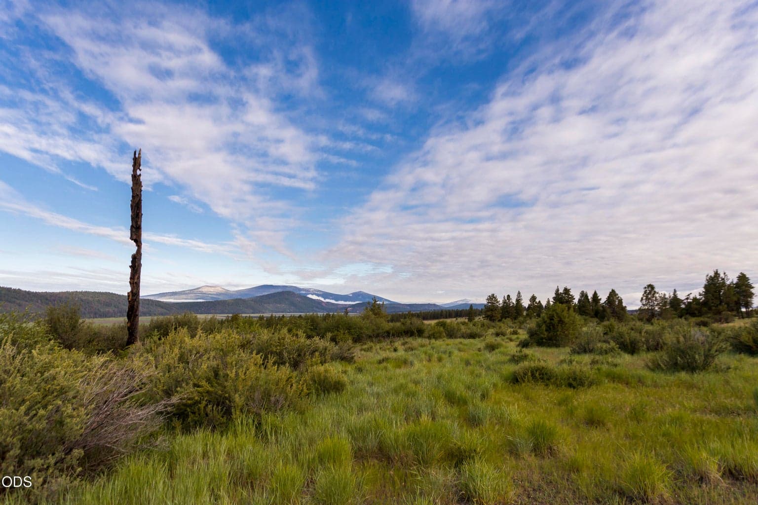 Photo of 846 Abbott Mountain 2 of 17