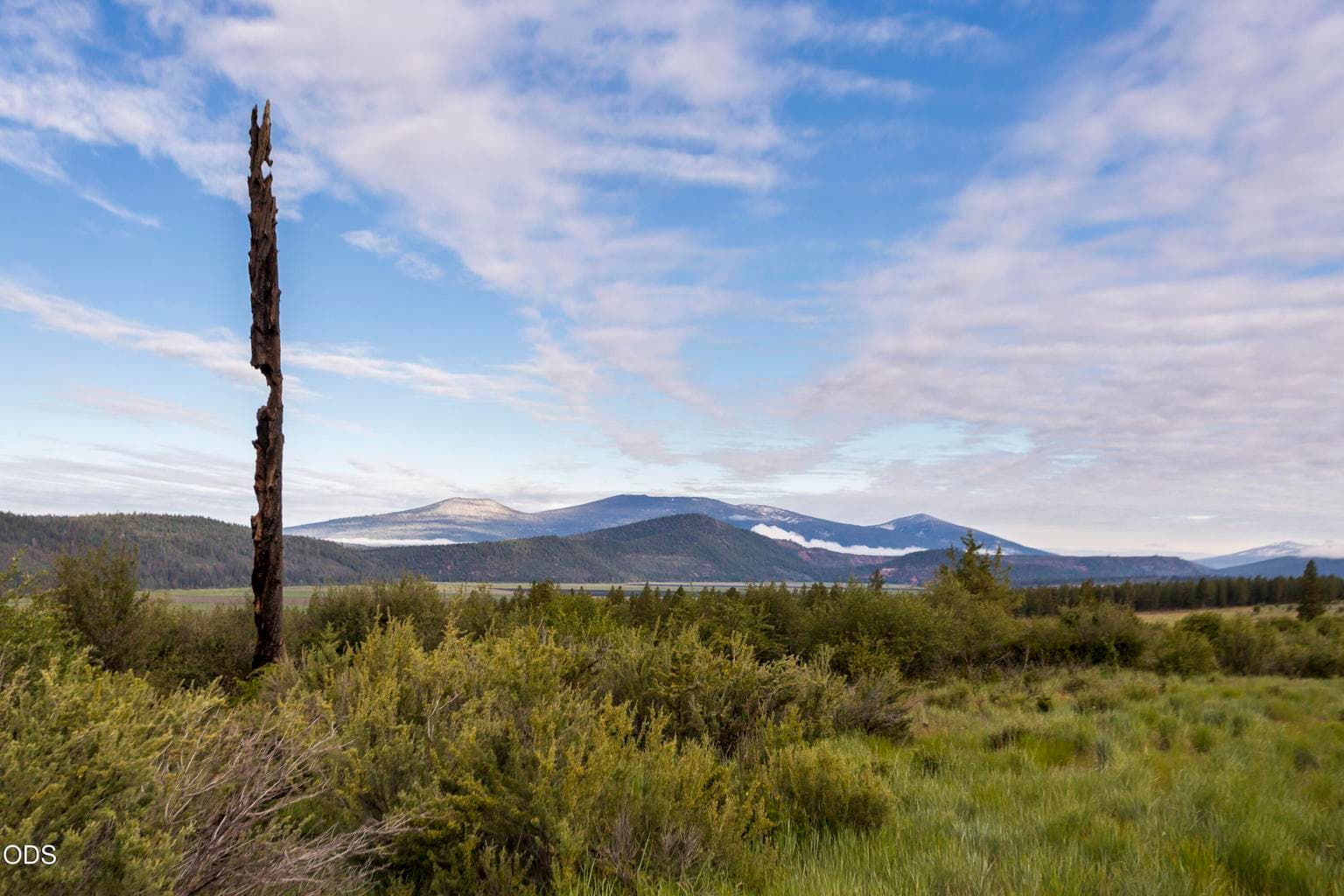Photo of 846 Abbott Mountain 3 of 17
