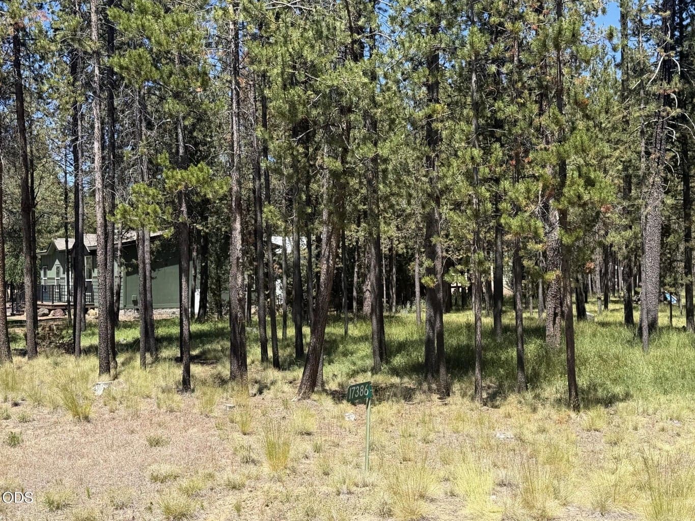 Photo of 17386 Golden Eye Drive 6 of 13