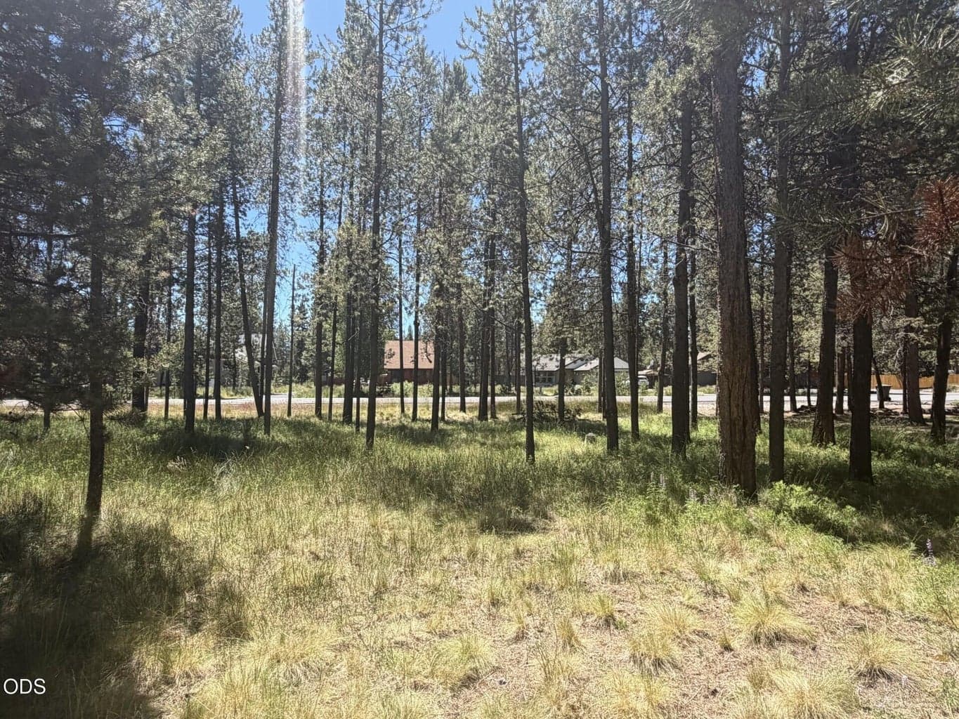 Photo of 17386 Golden Eye Drive 7 of 13